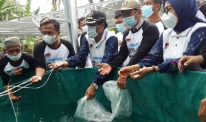 Dinas Perikanan Donggala Kembangkan Sistem Bioflok Budidaya Ikan Nila,