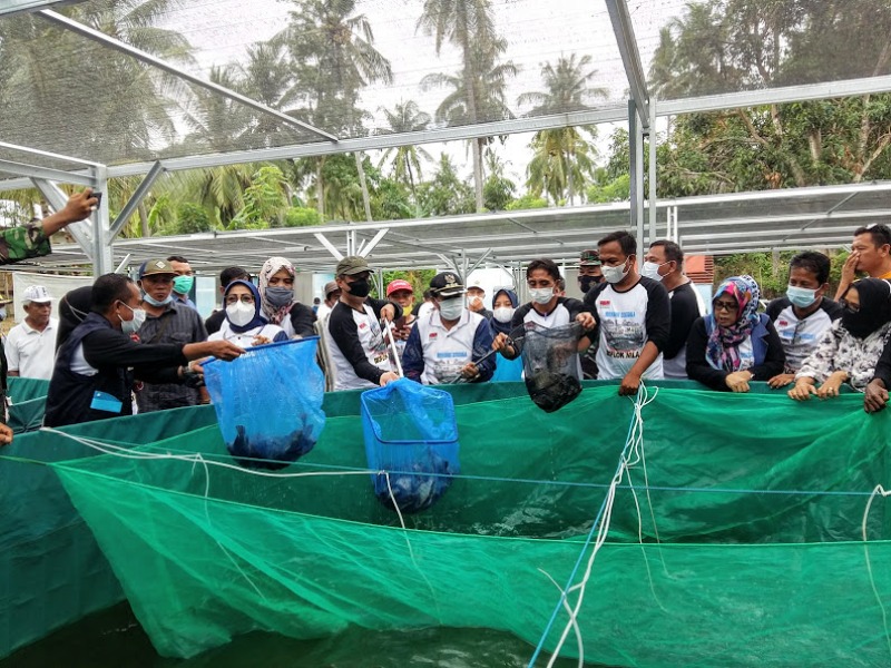 Dinas Perikanan Donggala Kembangkan Sistem Bioflok Budidaya Ikan Nila,