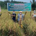 Bupati Donggala Dialog Dengan Petani Kecamatan Banawa Selatan