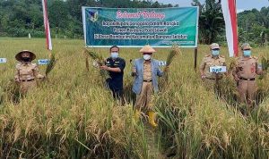Bupati Donggala Dialog Dengan Petani Kecamatan Banawa Selatan Bupati Donggala Dialog Dengan Petani Kecamatan Banawa Selatan