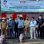 Wagub Apresiasi Program Pemberdayaan RMP Melalui Tanaman Jagung