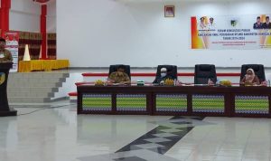 RPJMD Kabupaten Donggala 2019-2024 di Rubah