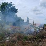 Dua Danru Damkar Kompak Padamkan kebakaran Lahan