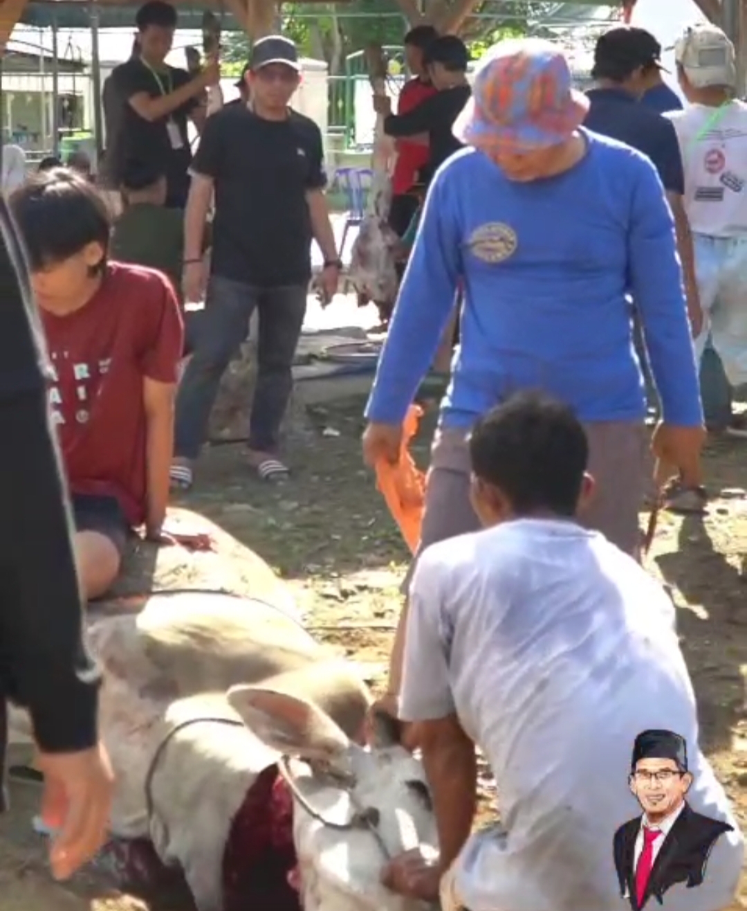 Muhammadiyah Tatanga Sembelih 11 Ekor Sapi