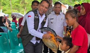 Donggala Dorong Penurunan Stunting Lewat Bantuan Ikan Berkualitas