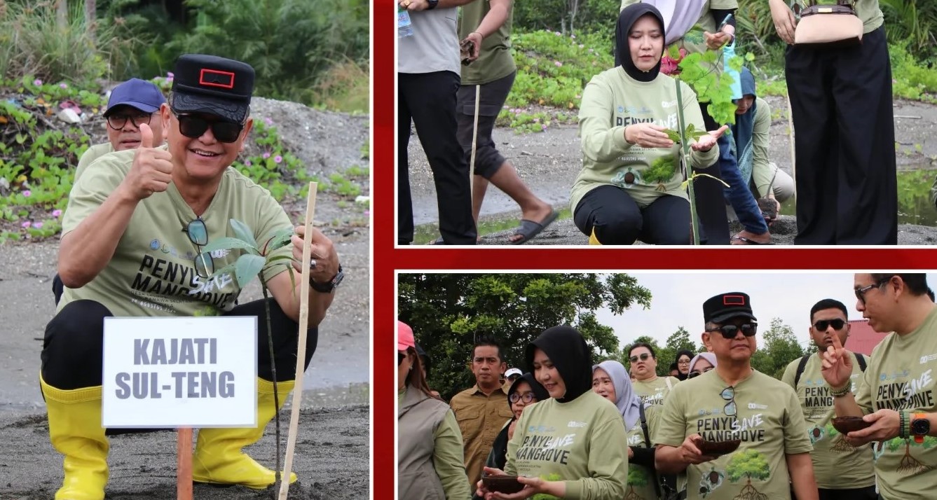 Kajati Sulteng Bersama Bupati Donggala Lepas Tukik dan Tanam Mangrove: Simbol Harapan untuk Laut dan Masa Depan