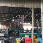 Warga Minta KKP Segera Realisasikan Pembangunan Pasar Ikan Ranai di Natuna
