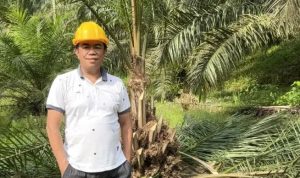 Pohon Sawit Jantan Harus Dimusnahkan, Petani Diimbau Fokus Tingkatkan Produktivitas