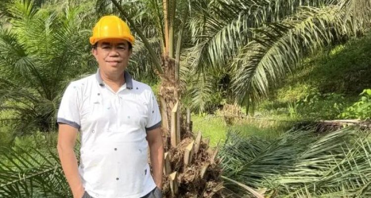 Pohon Sawit Jantan Harus Dimusnahkan, Petani Diimbau Fokus Tingkatkan Produktivitas