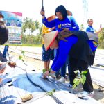 Bupati Vera Tanam Cabai dan Jagung Hibrida, Donggala: Menanam Harapan untuk Kemandirian Pangan