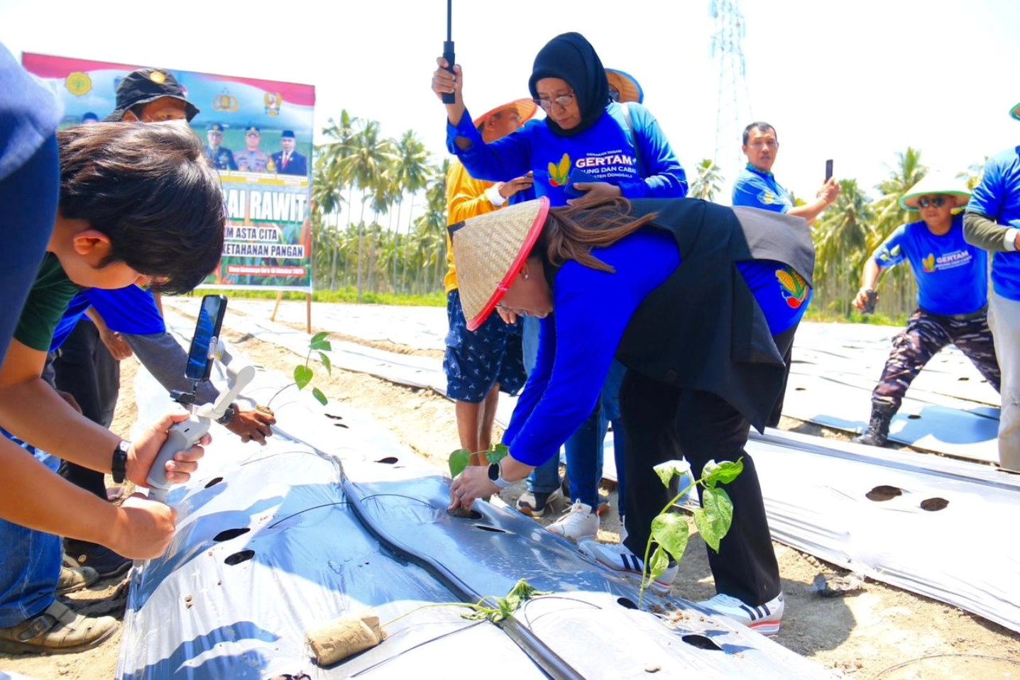 Bupati Vera Tanam Cabai dan Jagung Hibrida, Donggala: Menanam Harapan untuk Kemandirian Pangan Bupati Vera Tanam Cabai dan Jagung Hibrida, Donggala: Menanam Harapan untuk Kemandirian Pangan