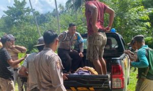 Petani Ditemukan Tewas di Kebun Mangga, Warga Pani'i Geger Petani Ditemukan Tewas di Kebun Mangga, Warga Pani'i Geger