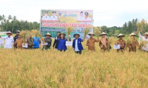 Bupati Donggala Dorong Perbaikan Irigasi Demi Kesejahteraan Petani Bupati Donggala Dorong Perbaikan Irigasi Demi Kesejahteraan Petani
