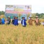Bupati Donggala Dorong Perbaikan Irigasi Demi Kesejahteraan Petani