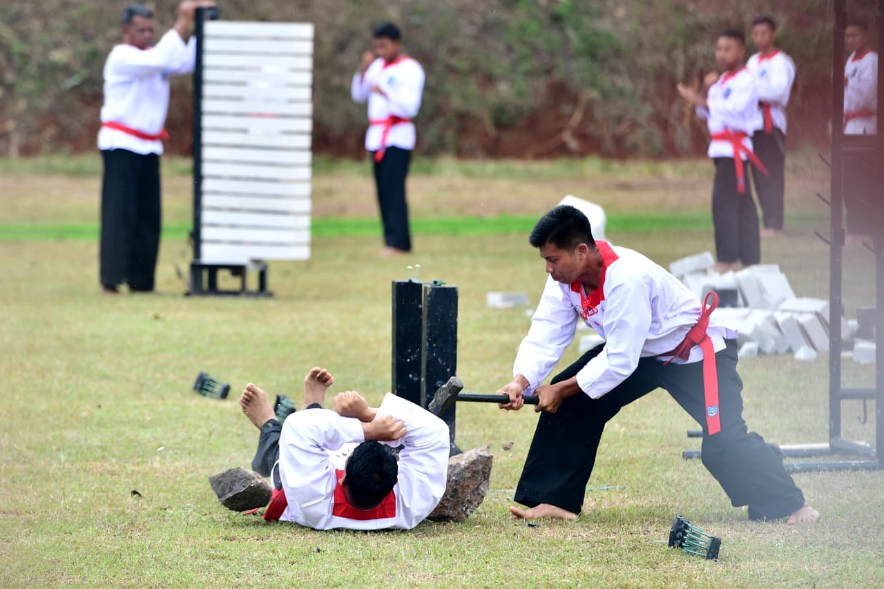 Prabowo dan Raja Yordania Saksikan Latihan Drone Gabungan TNI–JAF di Halim Perdanakusuma