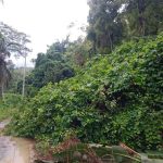 Akses Jalan Sintulu Terputus Akibat Cuaca Ekstrem, Warga Desak Pemerintah Donggala Bergerak Cepat