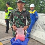 Temuan Mengejutkan: Babinsa Amankan 90 Ribu Butir Ekstasi