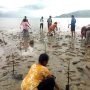 KMPB Pomolulu Gelar Aksi Tanam Mangrove: Wujud Kepedulian Warga Selamatkan Pesisir Desa