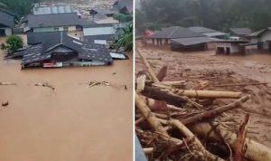 4 Orang Tewas, Jalan Nasional Putus Total: Banjir Bandang dan Longsor Lumpuhkan Tapanuli Tengah Tapanuli Tengah – Bencana dahsyat melanda kawasan pantai barat Sumatera Utara pada Selasa (25/11/2025). Banjir bandang dan longsor yang terjadi serentak di sejumlah wilayah—mulai dari Tapanuli Tengah, Sibolga, Tapanuli Selatan, hingga Mandailing Natal—menghancurkan akses kehidupan warga. Jalan nasional terputus, komunikasi lumpuh, dan empat orang dilaporkan meninggal dunia di Tapanuli Tengah. “Ada empat orang meninggal di Desa Mardame, Kecamatan Sitahuis akibat longsor. Ribuan rumah juga terendam banjir bandang di berbagai lokasi,” ungkap Bupati Tapanuli Tengah, Masinton Pasaribu, dengan suara berat. Arus Banjir Setinggi Atap, Sungai Meluap Bawa Pohon Besar Rekaman video warga memperlihatkan betapa dahsyatnya bencana ini. Arus banjir bandang menyeruak dari aliran sungai, menghantam permukiman dengan kecepatan tinggi, bahkan menjulang hampir mencapai atap rumah. Material kayu, batang pohon, dan lumpur pekat menghanyut begitu saja, menunjukkan derasnya kekuatan air yang tak bisa dibendung. Di beberapa titik lain, longsor besar menutup total jalan nasional, membuat kendaraan tertimbun tanah dan bebatuan. Sejumlah mobil dan sepeda motor tampak tertutup material setinggi bahu orang dewasa. Evakuasi Berpacu dengan Hujan dan Gelap Pemkab Tapanuli Tengah bersama TNI, Polri, dan Basarnas bergerak cepat mengevakuasi warga dari daerah yang dinilai paling rawan. Dengan kendaraan operasional—bahkan beberapa menggunakan alat berat—petugas menjemput warga rentan, termasuk anak-anak dan lansia, menuju posko darurat. Hingga malam hari, hujan deras tak kunjung berhenti. Kondisi ini membuat operasi evakuasi semakin berisiko dan membutuhkan kehati-hatian ekstra. Pendataan dampak bencana pun masih terus berjalan, namun diperkirakan ribuan rumah terdampak banjir bandang. Komunikasi Lumpuh, Jalan Nasional Tak Bisa Dilalui Krisis semakin parah ketika akses telepon dan data seluler di Tapanuli Tengah terputus total sejak sore hari. Petugas dari Pemerintah Provinsi Sumatera Utara kesulitan mendapatkan gambaran terkini situasi di lokasi bencana. “Kami masih tertahan di perbatasan Tapanuli Utara–Tapanuli Tengah. Jalan tak dapat dilalui akibat longsor dan hujan deras masih turun, ” kata Sri Wahyuni Pancasilawati, Kabid Darurat, Peralatan, dan Logistik BPBD Sumut. Menurutnya, Jalan Tarutung–Sibolga lumpuh total, membuat tim BPBD Sumut tak bisa masuk. Meski terdapat beberapa jalur alternatif, semuanya berisiko tinggi. Salah satu jalan melalui Pahae Julu tak bisa dilewati karena jembatan rusak. Jalur alternatif lainnya menuju Kecamatan Barus juga rawan longsor dan diterjang hujan lebat. Upaya Pembukaan Akses Terus Dilakukan BPBD Sumut telah mengerahkan alat berat dan personel tambahan ke wilayah perbatasan untuk membuka akses yang tertutup material longsor. Sebagian petugas bahkan mencoba mencari jalur lain meski harus memutar hingga 200 kilometer. Namun hingga laporan terakhir yang diterima, empat korban jiwa telah ditemukan, dan petugas masih berjuang untuk mencapai pusat bencana demi mempercepat penanganan darurat. Bencana ini menjadi peringatan keras tentang rentannya wilayah pantai barat Sumatera terhadap cuaca ekstrem dan kerusakan lingkungan. Upaya bantuan kini berpacu dengan waktu, cuaca, dan sulitnya medan yang porak-poranda. 4 Orang Tewas, Jalan Nasional Putus Total: Banjir Bandang dan Longsor Lumpuhkan Tapanuli Tengah Tapanuli Tengah – Bencana dahsyat melanda kawasan pantai barat Sumatera Utara pada Selasa (25/11/2025). Banjir bandang dan longsor yang terjadi serentak di sejumlah wilayah—mulai dari Tapanuli Tengah, Sibolga, Tapanuli Selatan, hingga Mandailing Natal—menghancurkan akses kehidupan warga. Jalan nasional terputus, komunikasi lumpuh, dan empat orang dilaporkan meninggal dunia di Tapanuli Tengah. “Ada empat orang meninggal di Desa Mardame, Kecamatan Sitahuis akibat longsor. Ribuan rumah juga terendam banjir bandang di berbagai lokasi,” ungkap Bupati Tapanuli Tengah, Masinton Pasaribu, dengan suara berat. Arus Banjir Setinggi Atap, Sungai Meluap Bawa Pohon Besar Rekaman video warga memperlihatkan betapa dahsyatnya bencana ini. Arus banjir bandang menyeruak dari aliran sungai, menghantam permukiman dengan kecepatan tinggi, bahkan menjulang hampir mencapai atap rumah. Material kayu, batang pohon, dan lumpur pekat menghanyut begitu saja, menunjukkan derasnya kekuatan air yang tak bisa dibendung. Di beberapa titik lain, longsor besar menutup total jalan nasional, membuat kendaraan tertimbun tanah dan bebatuan. Sejumlah mobil dan sepeda motor tampak tertutup material setinggi bahu orang dewasa. Evakuasi Berpacu dengan Hujan dan Gelap Pemkab Tapanuli Tengah bersama TNI, Polri, dan Basarnas bergerak cepat mengevakuasi warga dari daerah yang dinilai paling rawan. Dengan kendaraan operasional—bahkan beberapa menggunakan alat berat—petugas menjemput warga rentan, termasuk anak-anak dan lansia, menuju posko darurat. Hingga malam hari, hujan deras tak kunjung berhenti. Kondisi ini membuat operasi evakuasi semakin berisiko dan membutuhkan kehati-hatian ekstra. Pendataan dampak bencana pun masih terus berjalan, namun diperkirakan ribuan rumah terdampak banjir bandang. Komunikasi Lumpuh, Jalan Nasional Tak Bisa Dilalui Krisis semakin parah ketika akses telepon dan data seluler di Tapanuli Tengah terputus total sejak sore hari. Petugas dari Pemerintah Provinsi Sumatera Utara kesulitan mendapatkan gambaran terkini situasi di lokasi bencana. “Kami masih tertahan di perbatasan Tapanuli Utara–Tapanuli Tengah. Jalan tak dapat dilalui akibat longsor dan hujan deras masih turun, ” kata Sri Wahyuni Pancasilawati, Kabid Darurat, Peralatan, dan Logistik BPBD Sumut. Menurutnya, Jalan Tarutung–Sibolga lumpuh total, membuat tim BPBD Sumut tak bisa masuk. Meski terdapat beberapa jalur alternatif, semuanya berisiko tinggi. Salah satu jalan melalui Pahae Julu tak bisa dilewati karena jembatan rusak. Jalur alternatif lainnya menuju Kecamatan Barus juga rawan longsor dan diterjang hujan lebat. Upaya Pembukaan Akses Terus Dilakukan BPBD Sumut telah mengerahkan alat berat dan personel tambahan ke wilayah perbatasan untuk membuka akses yang tertutup material longsor. Sebagian petugas bahkan mencoba mencari jalur lain meski harus memutar hingga 200 kilometer. Namun hingga laporan terakhir yang diterima, empat korban jiwa telah ditemukan, dan petugas masih berjuang untuk mencapai pusat bencana demi mempercepat penanganan darurat. Bencana ini menjadi peringatan keras tentang rentannya wilayah pantai barat Sumatera terhadap cuaca ekstrem dan kerusakan lingkungan. Upaya bantuan kini berpacu dengan waktu, cuaca, dan sulitnya medan yang porak-poranda.