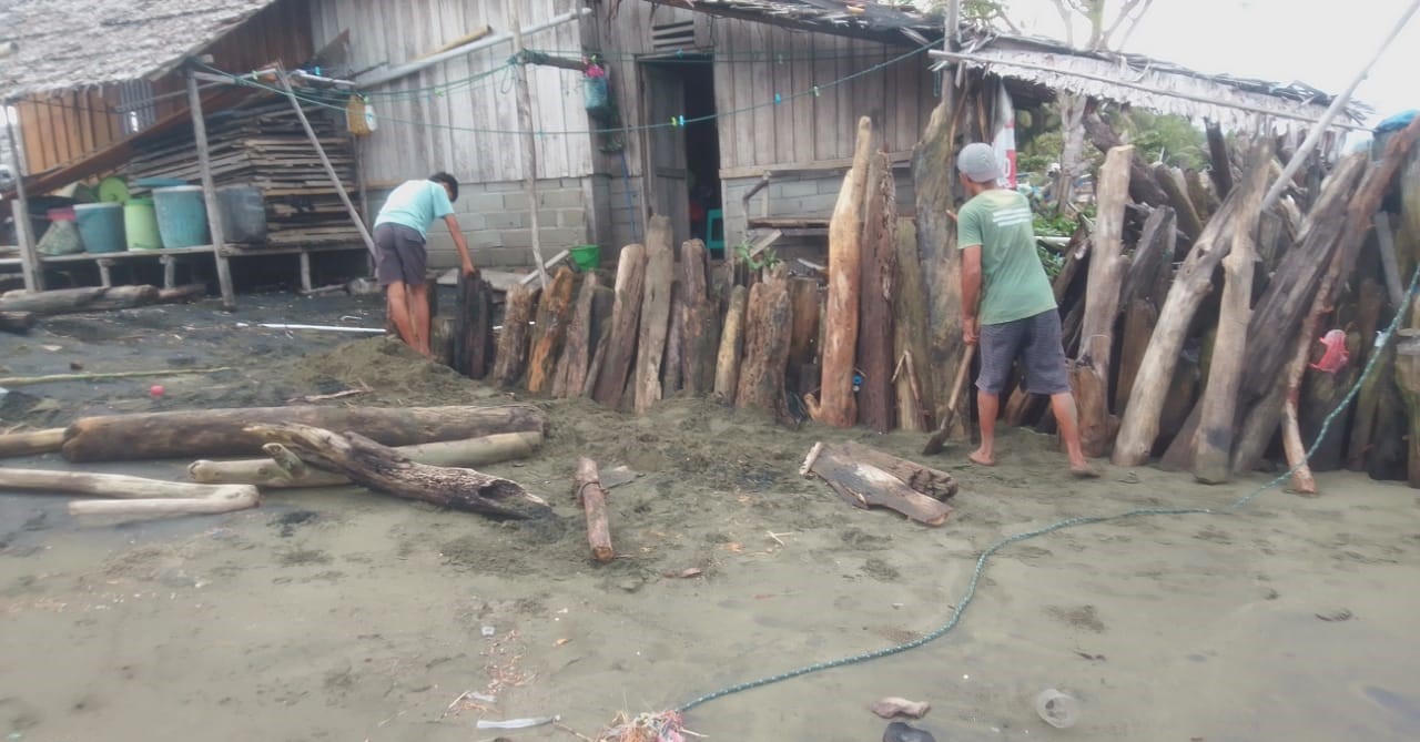 Warga Pesisir Towale Bertahan dengan Tanggul Kayu: “Angin Utara Setiap Tahun Menghantui Kami”