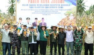 Panen Raya Jagung Hibrida di Batusuya Go’o, Bupati Donggala: Swasembada Pangan Jalan Tekan Kemiskinan