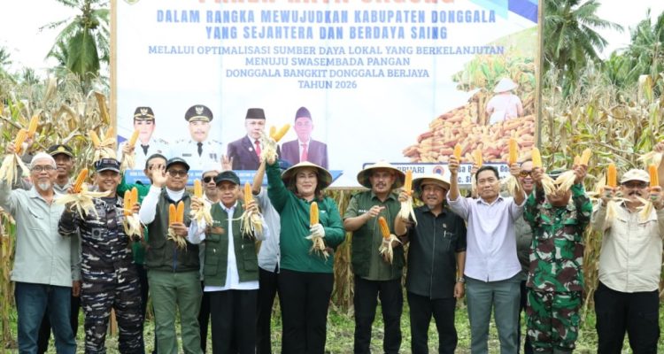 Panen Raya Jagung Hibrida di Batusuya Go’o, Bupati Donggala: Swasembada Pangan Jalan Tekan Kemiskinan