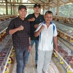 Vaksinasi ILT, Langkah Strategis Desa Malei Jaga Produktivitas Ayam Petelur