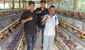 Vaksinasi ILT, Langkah Strategis Desa Malei Jaga Produktivitas Ayam Petelur
