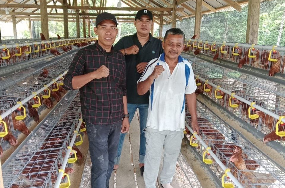 Vaksinasi ILT, Langkah Strategis Desa Malei Jaga Produktivitas Ayam Petelur