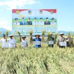 Petani Sojol Panen Raya, Pemkab Dorong BULOG Serap Gabah Tanpa Tengkulak