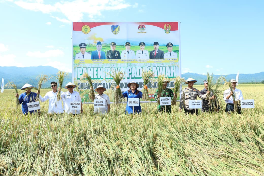 Petani Sojol Panen Raya, Pemkab Dorong BULOG Serap Gabah Tanpa Tengkulak
