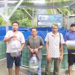 BUMDesa Sibalaya Utara Kembangkan Kolam Bioflok untuk Perkuat Ketahanan Pangan dan Ekonomi  