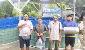 BUMDesa Sibalaya Utara Kembangkan Kolam Bioflok untuk Perkuat Ketahanan Pangan dan Ekonomi  