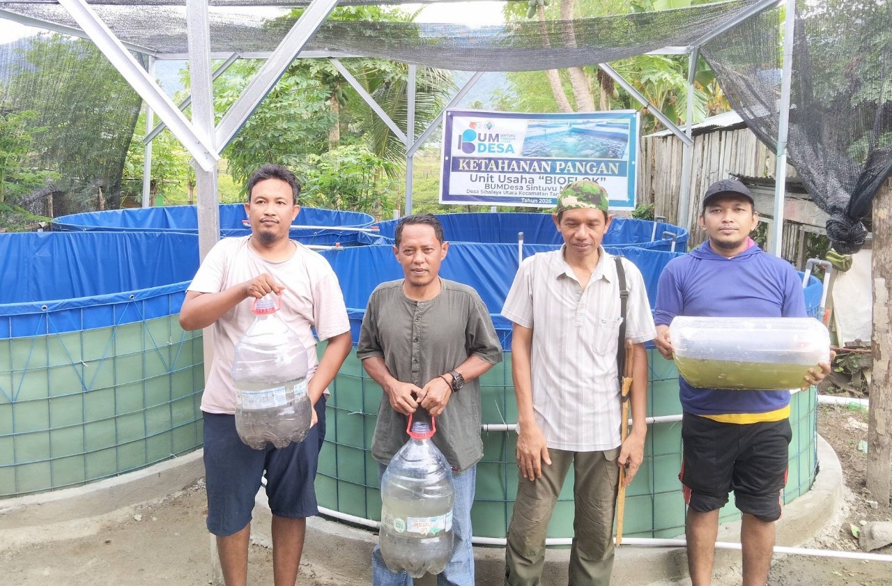 BUMDesa Sibalaya Utara Kembangkan Kolam Bioflok untuk Perkuat Ketahanan Pangan dan Ekonomi  