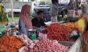 Informasi Harga Kebutuhan Pokok dan Bahan Strategis Pasar Inpres Malonda Kabupaten Donggala Senin, 29-06-2026
