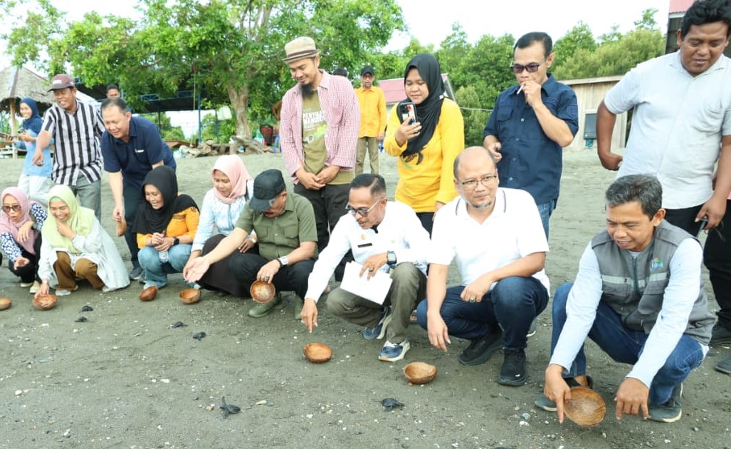 Pelepasan Tukik Warnai Peringatan Hari Lingkungan Hidup Sedunia, Donggala Perkuat Komitmen Konservasi Pesisir