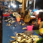 Informasi Harga Kebutuhan Pokok dan Bahan Strategis Pasar Inpres Malonda Kabupaten Donggala Jumat, 10-07-2026