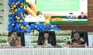 KUR Jadi Jalan Baru Petani Jagung Donggala Dongkrak Produksi dan Kesejahteraan