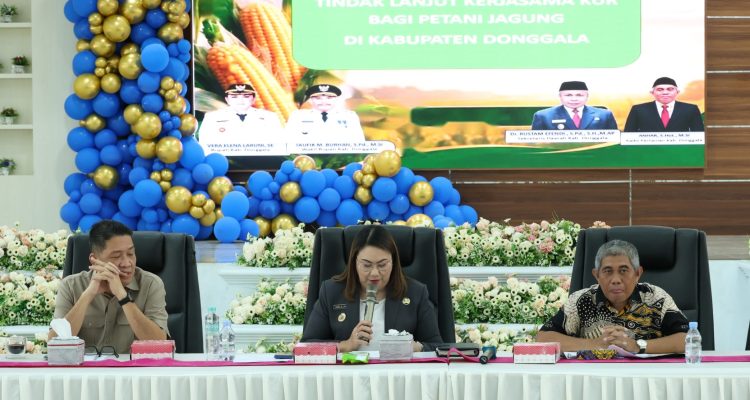 KUR Jadi Jalan Baru Petani Jagung Donggala Dongkrak Produksi dan Kesejahteraan