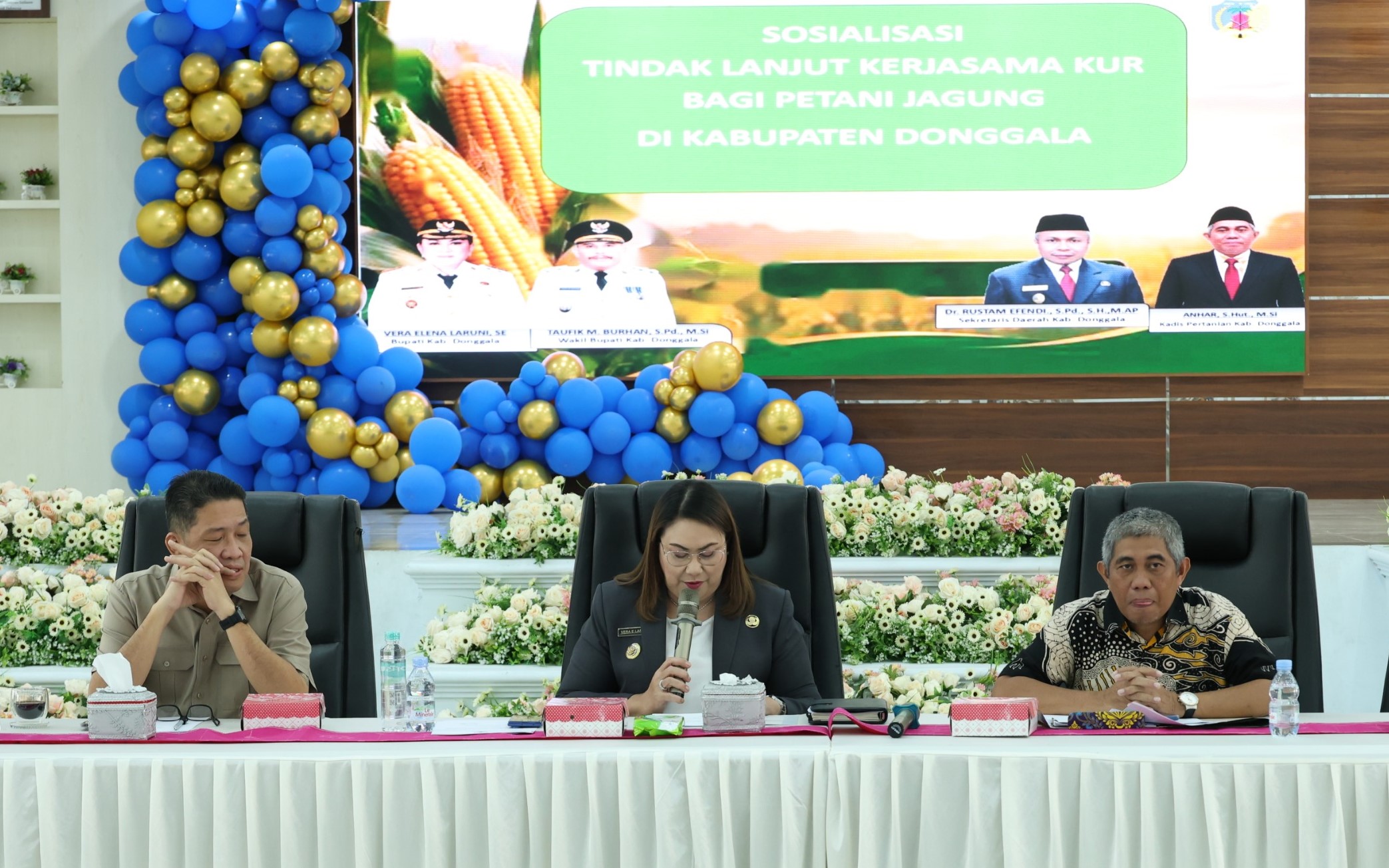 KUR Jadi Jalan Baru Petani Jagung Donggala Dongkrak Produksi dan Kesejahteraan