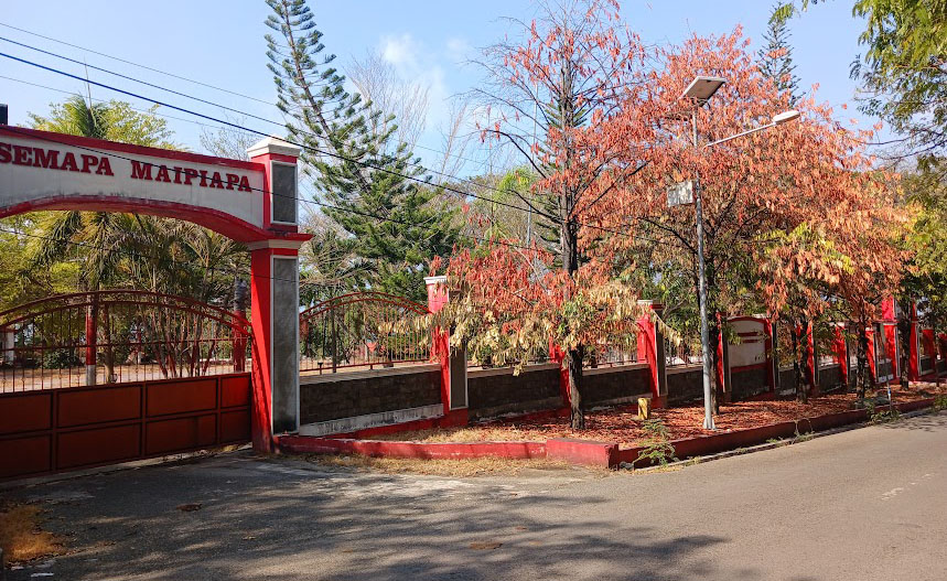 Jalan Eboni Terancam Kehilangan Jati Diri, Pohon Sejarah Donggala Satu per Satu Mengering