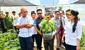 8.000 Satlinmas se-Jawa Tengah Padati Stadion Pandanaran Wujil, ASLINMAS dan ABPEDNAS Perkuat Konsolidasi Organisasi